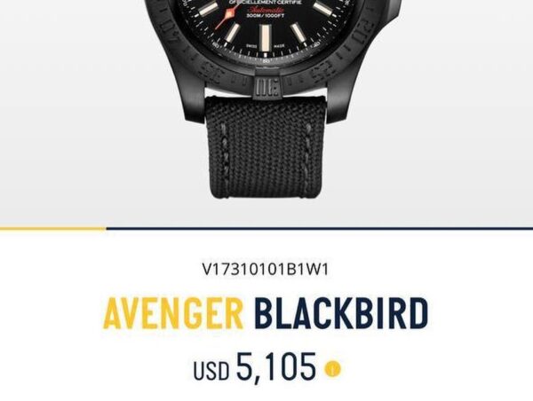 Breitling Avenger Blackbird Titanium